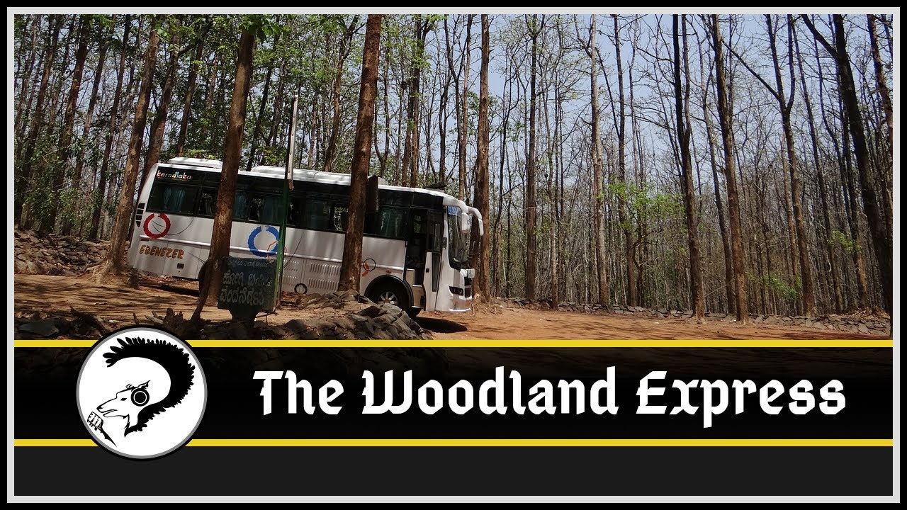 The Woodland Express by Andrew Jensen | Fantasy Short Audiobook