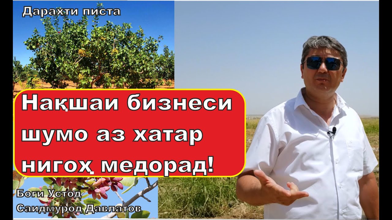 Нақша кашидани хатарҳои бизнес бисёр муҳим мебошад. Саидмурод Давлатов