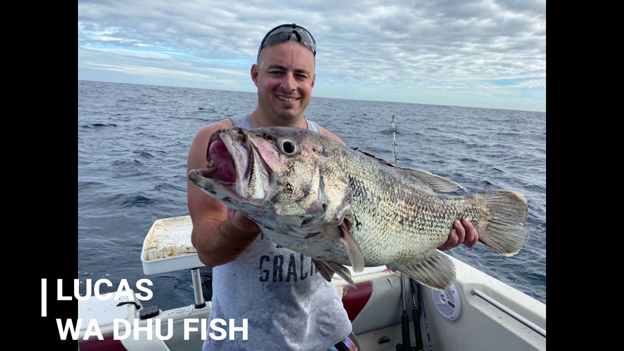 Fishing for dhu fish various trips (perth metro and bunbury)