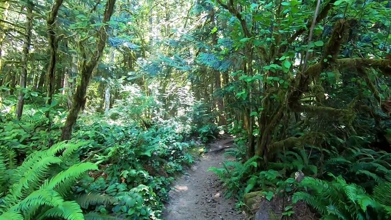 Evergreen State College Trails