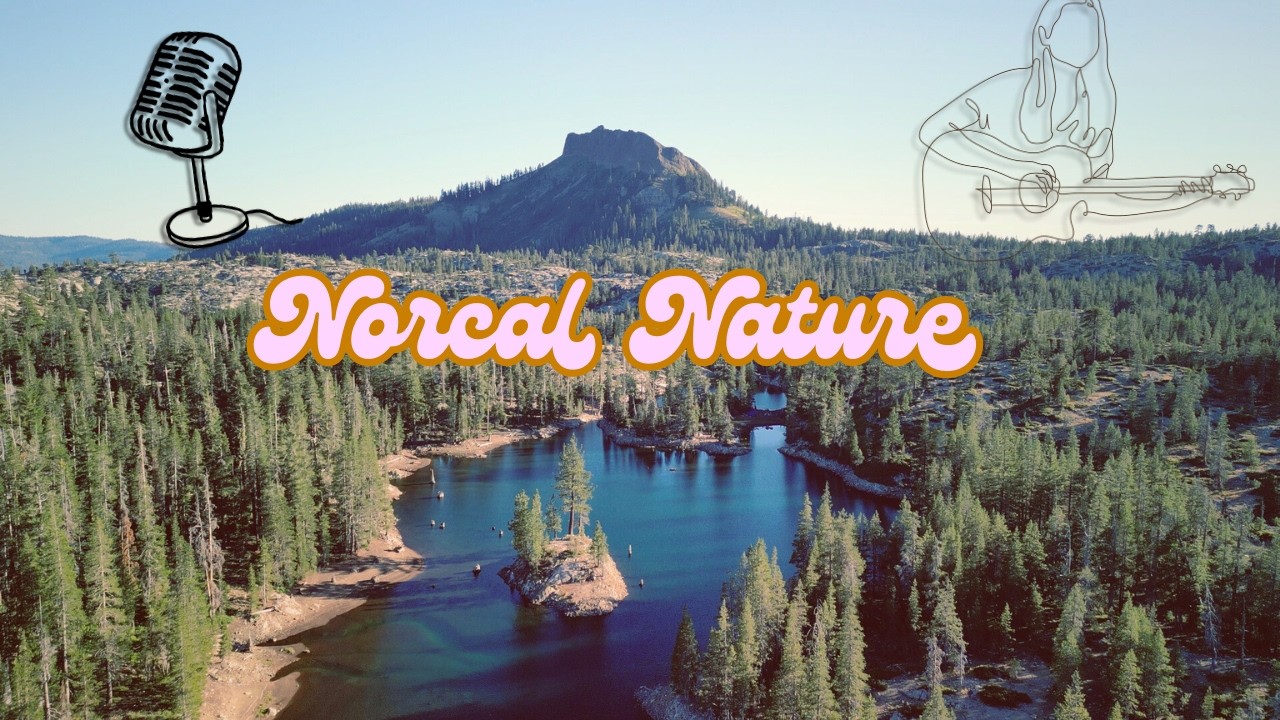 Northern California Aerial Nature Flyover, Relaxing Guitar