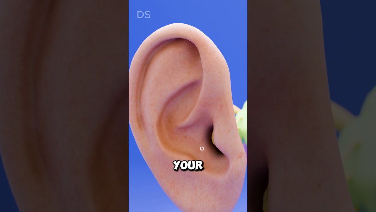 Why Do Your Ears Get Blocked at High Altitudes? 🛫🦻
