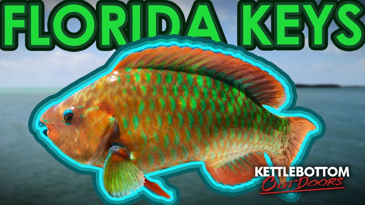 Kettlebottom Classics | Florida Keys Fishing
