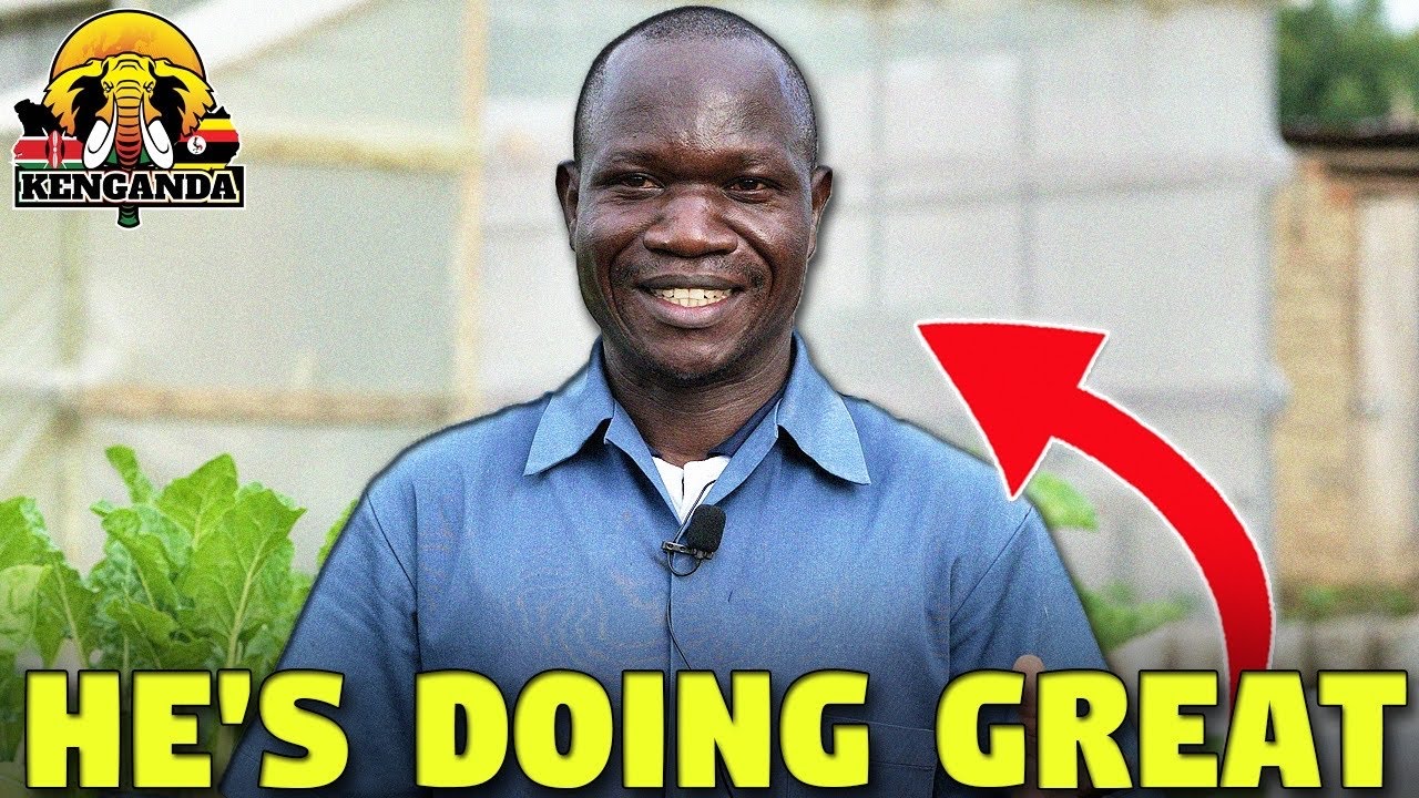 How Vegetable Seedling Production Can Turn You Create A Great Farming Business (Lems Farm)