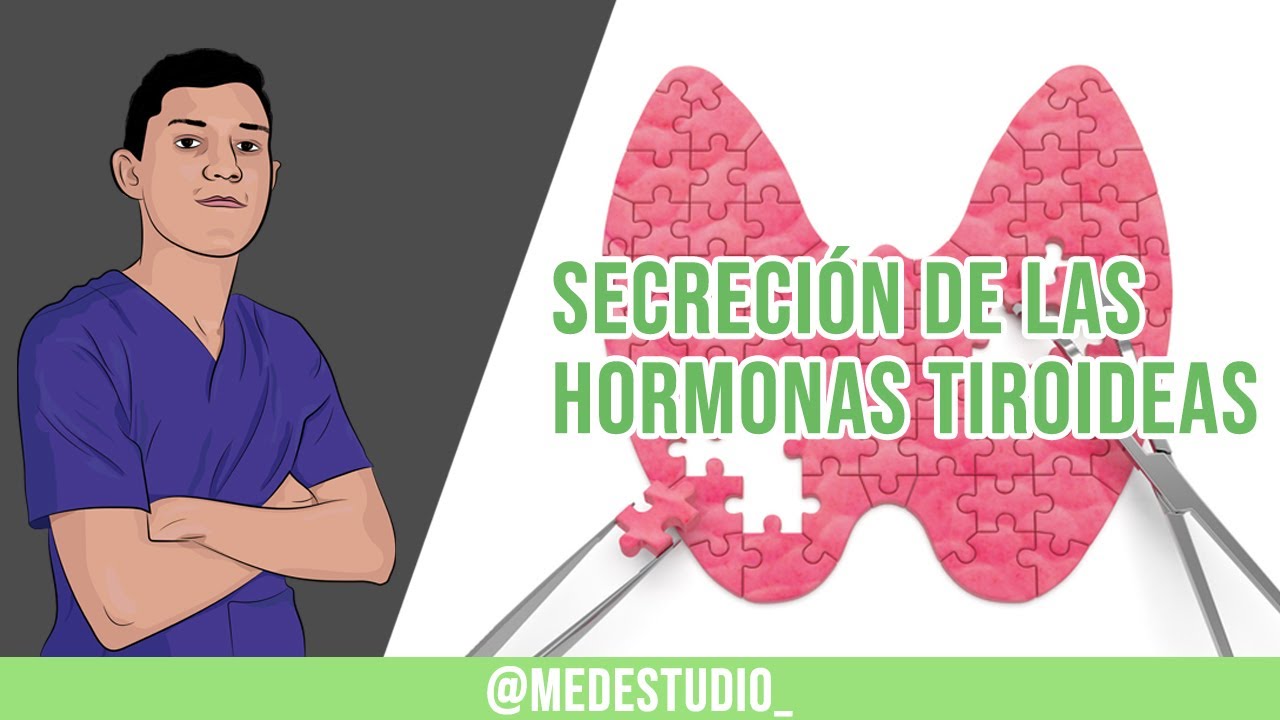 ¡SÍNTESIS DE LAS HORMONAS TIROIDEAS EN 10 PASOS!