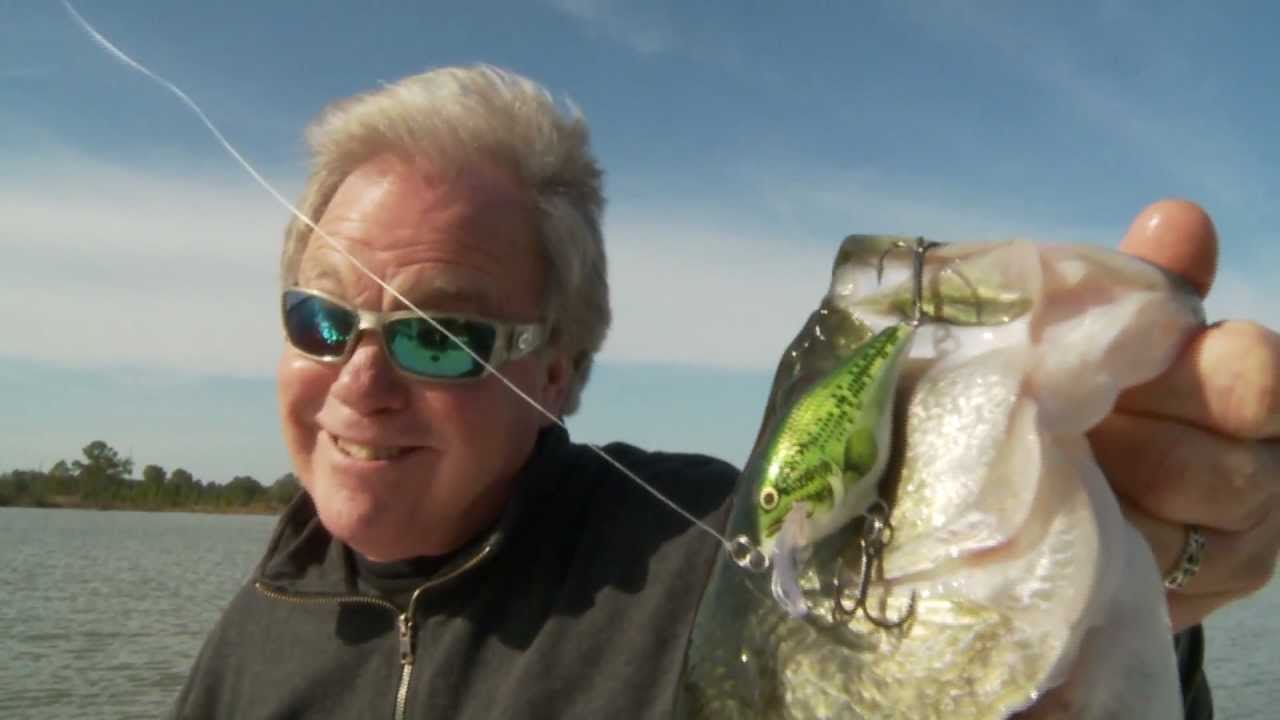 Rapala® Scatter Rap®