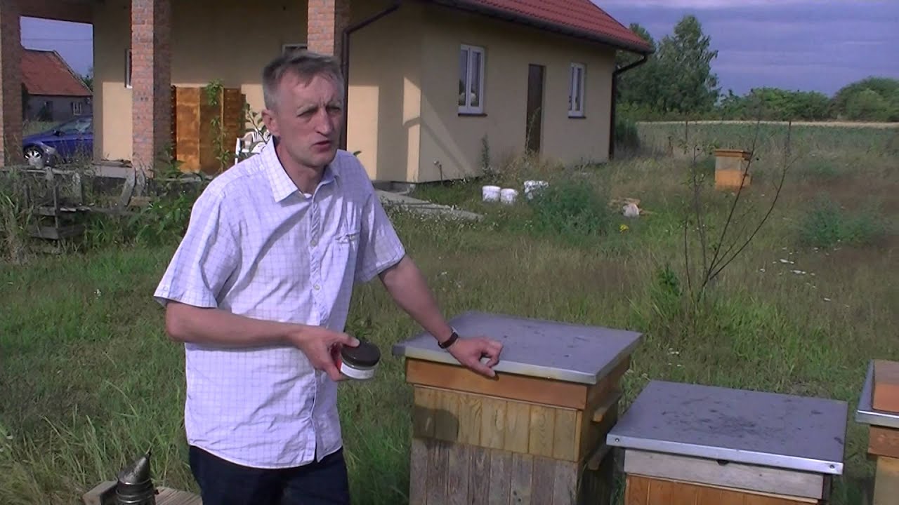 Aromatyzowany kwas mr&oacute;wkowy w żelu Bio Api Aplikacja do ula wielkopolskiego