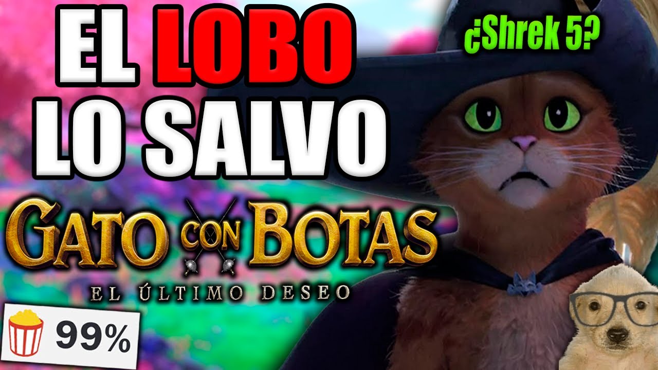 La importancia de VIVIR tu vida | Gato Con Botas 2