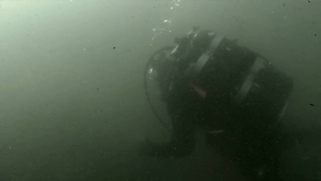 Circle Search -- from Dive Emergency Procedures