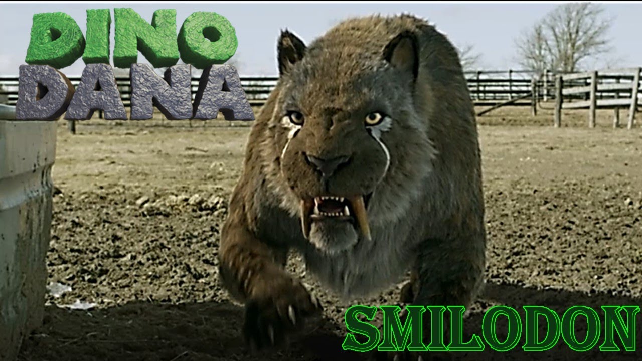 Dino Dana Smilodon