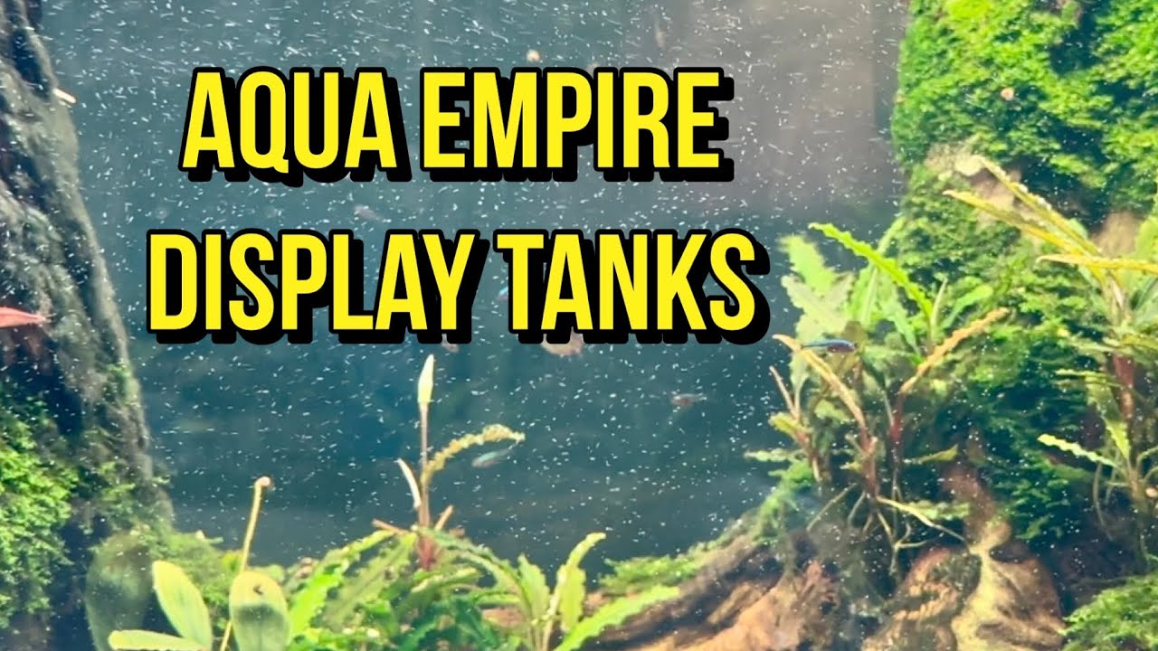 Выставочные резервуары Aqua Empire