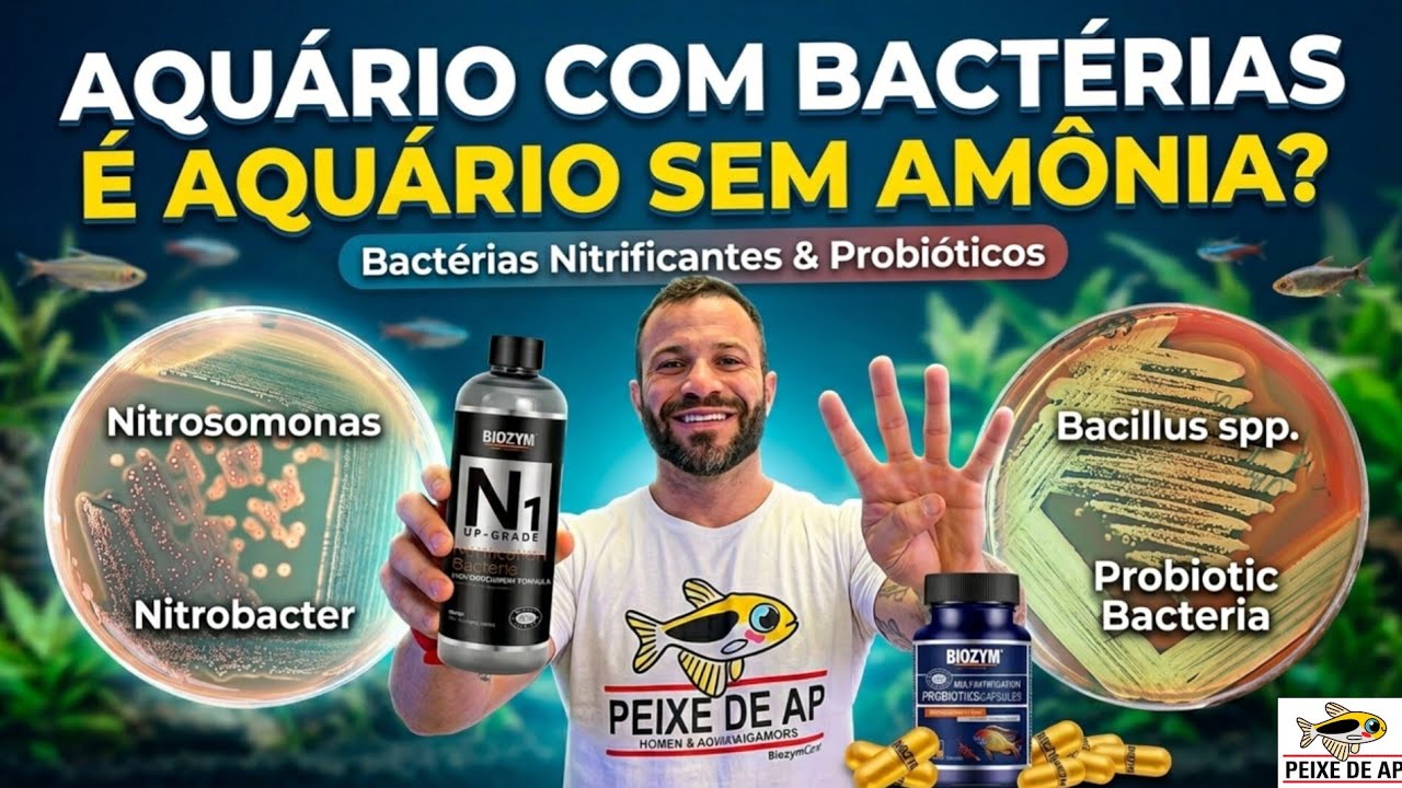Bactérias para seu aquário!