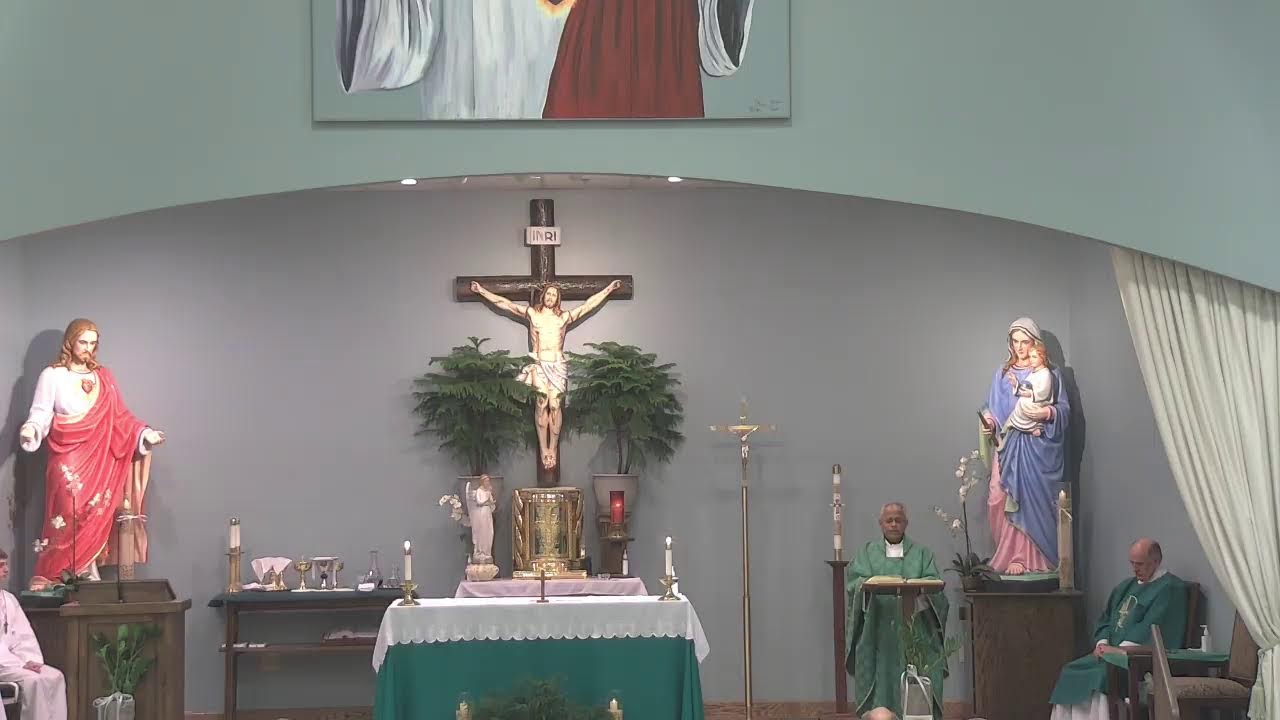 Most Merciful Jesus Catholic Parish Mass with Fr Joy - January 24, 2026