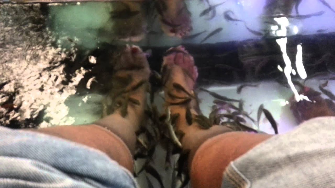 fish eating my feet