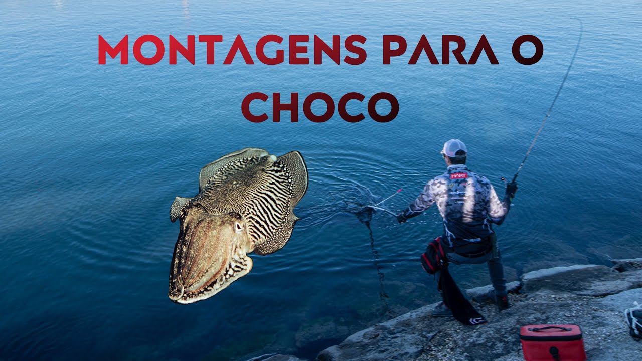 Montagens para o choco em Aveiro