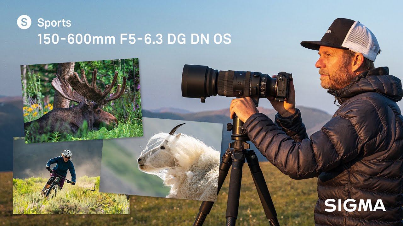 SIGMA 150-600mm F5-6.3 DG DN OS | Спортивный объектив для полнокадровых беззеркальных камер с Лиа...