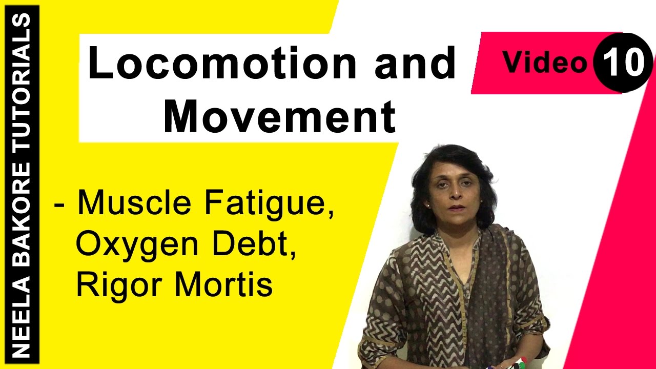 Locomotion and Movement | NEET | Muscle Fatigue, Oxygen Debt, Rigor Mortis | Neela Bakore Tutorials