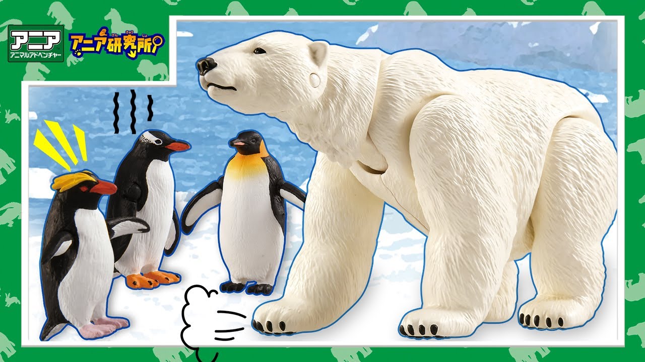 【アニア研究所】#28「ホッキョクグマとペンギンは同じ場所には住んでいない！？北極・南極で暮らす動物たちが水に浮くアニアになって登場だ！」【タカラトミー公式】