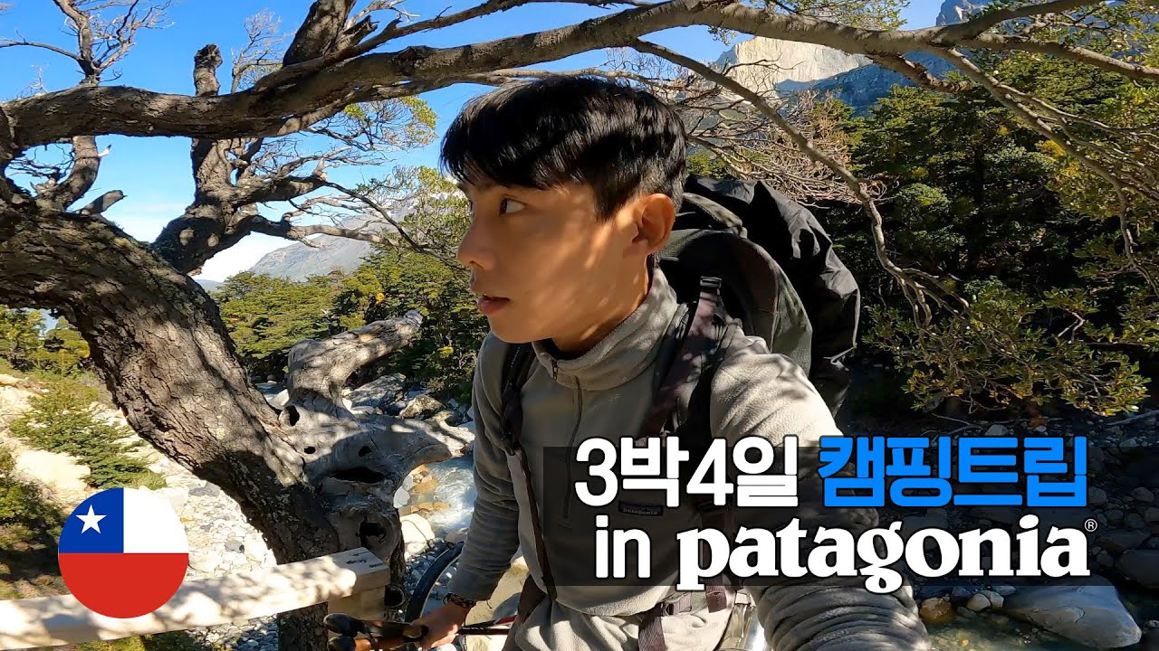 남미의 꽃 파타고니아에서 캠핑하기, 토레스 델 파이네 트레킹 - 중남미 49