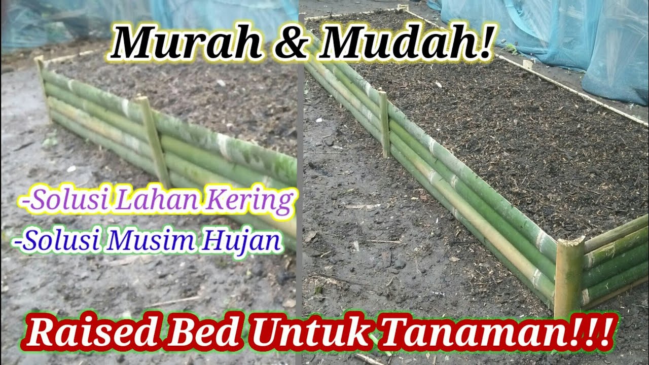 Cara Membuat Raised Bed Tanaman Murah dan Mudah! Raised Bed dari Bambu!!!