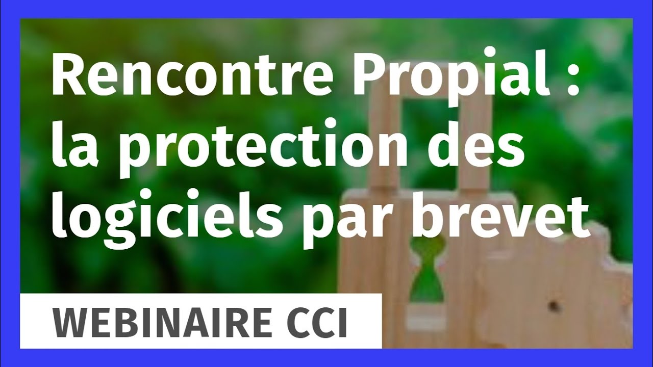 Rencontre Propial  -  La protection des logiciels par brevet