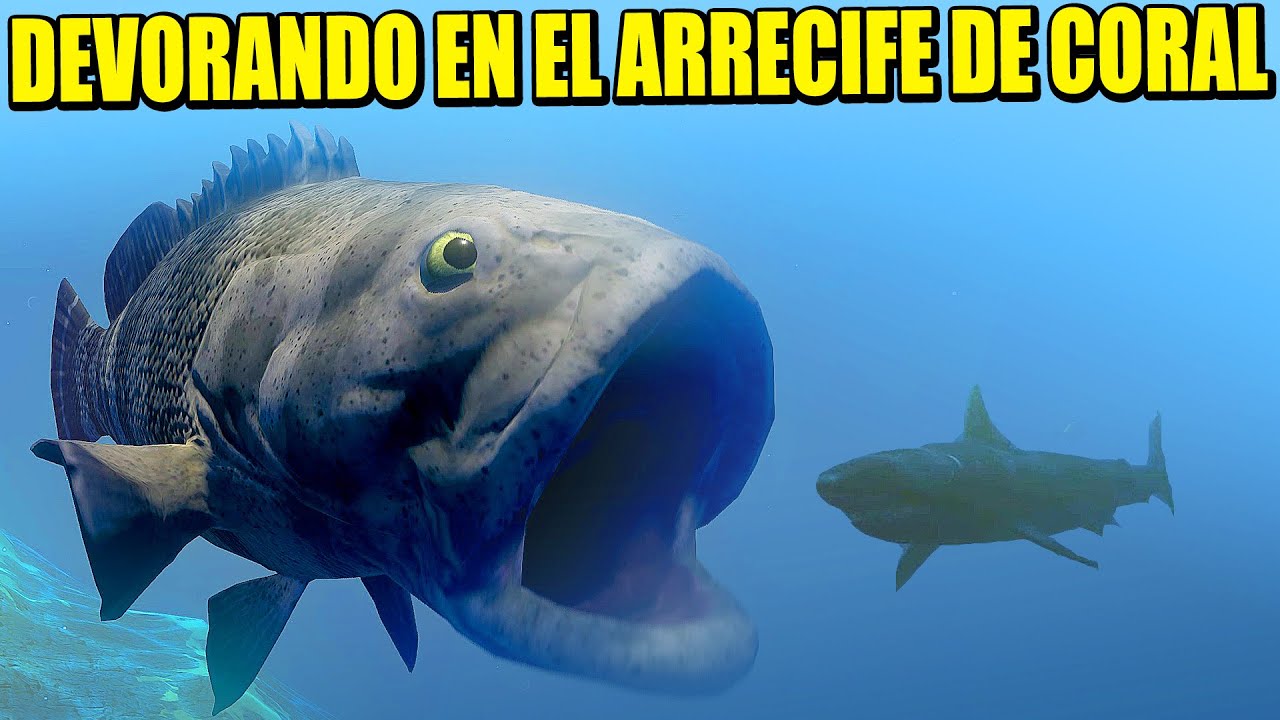 LA BOCA MÁS GRANDE DEL OCÉANO - FEED AND GROW