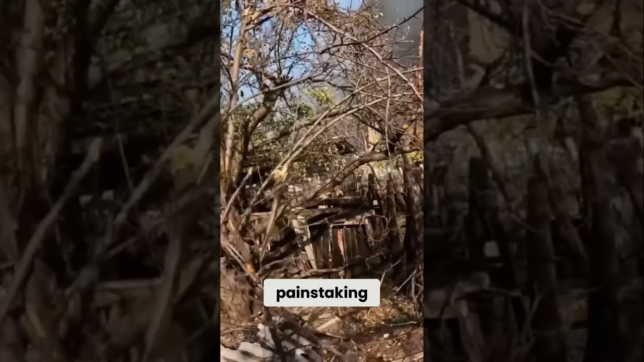 Epic War Combat: Ukrainian Fighters in Action