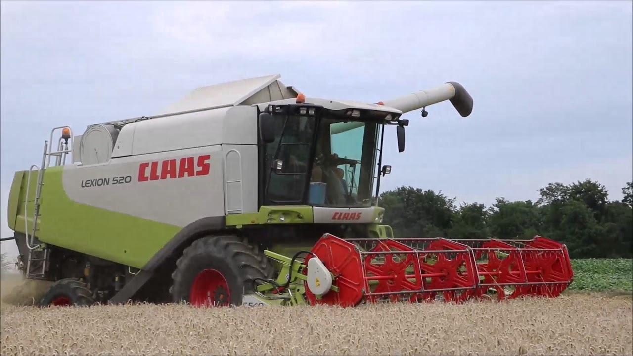 wheat harvesting | claas lexion 520 | wheat harvest