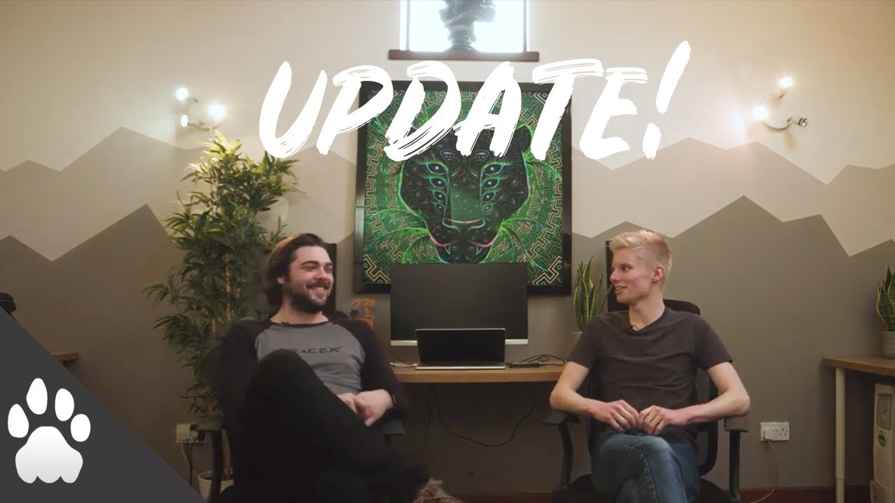 UPDATE! | BIG CAT STUFF
