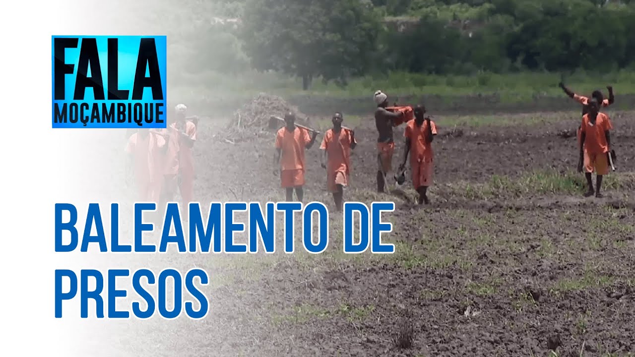 Ministra da justiça confirma baleamento de presos na Zambézia