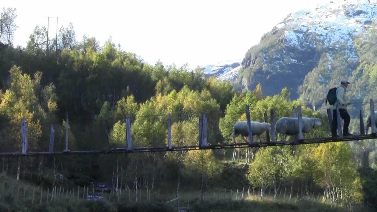 Ut på Tur i Vår Natur