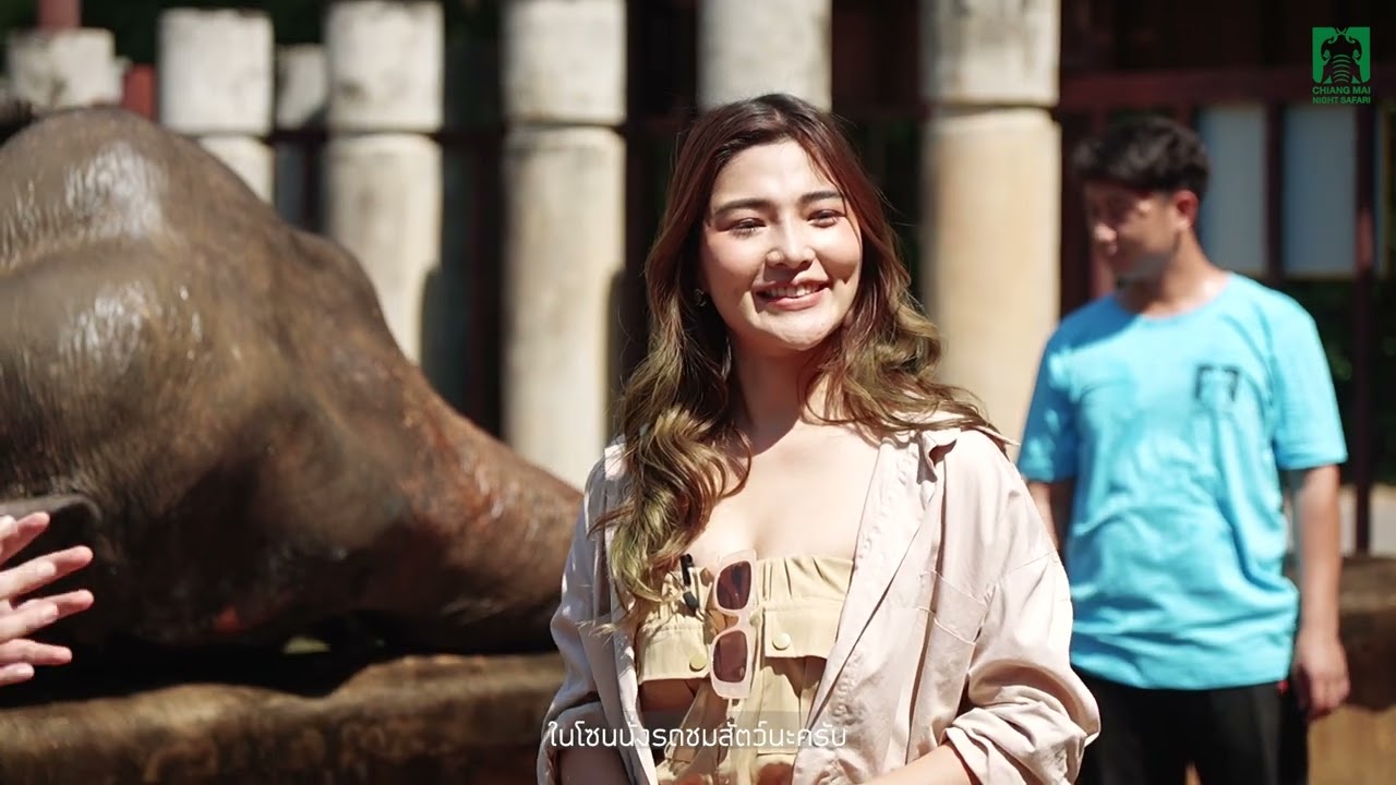 เที่ยวไนท์ซาฟารี บรรยากาศดีสุดๆ ต้อนรับหน้าหนาว