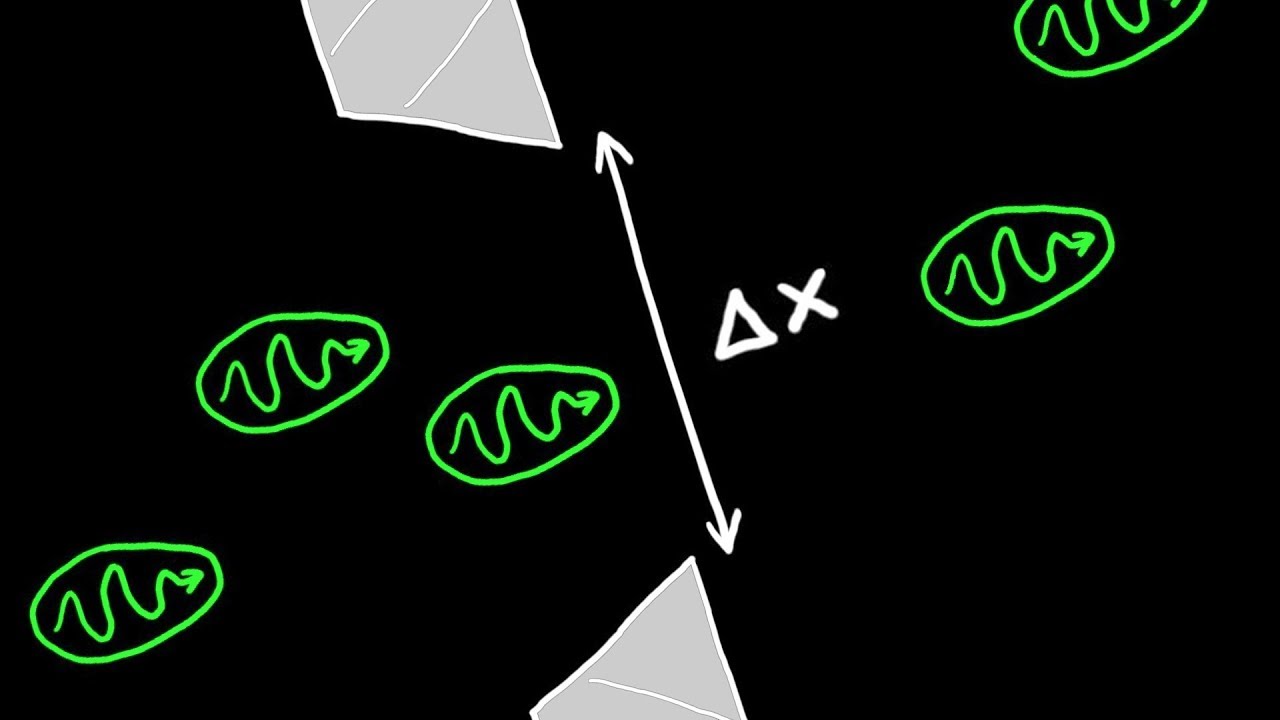 Heisenberg Uncertainty Principle Explained Urdu/Hindi
