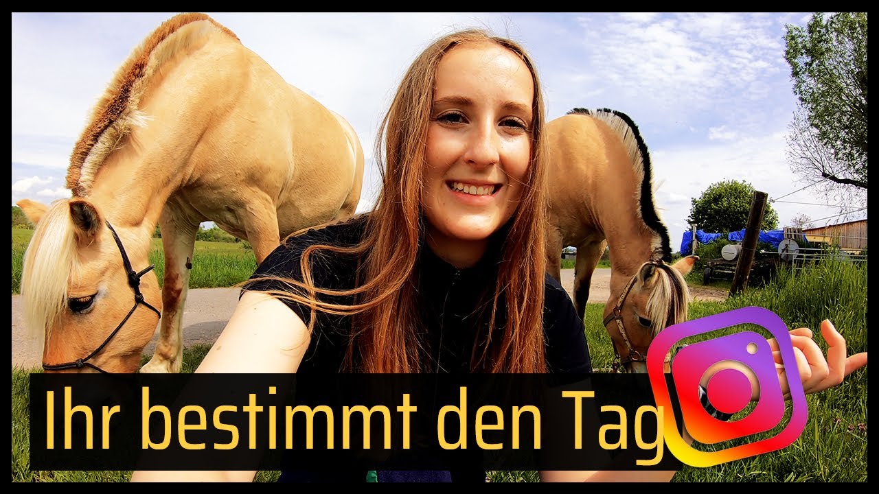🐴 Ihr bestimmt unseren Tag 🌤️ // Blondis auf Fjordis