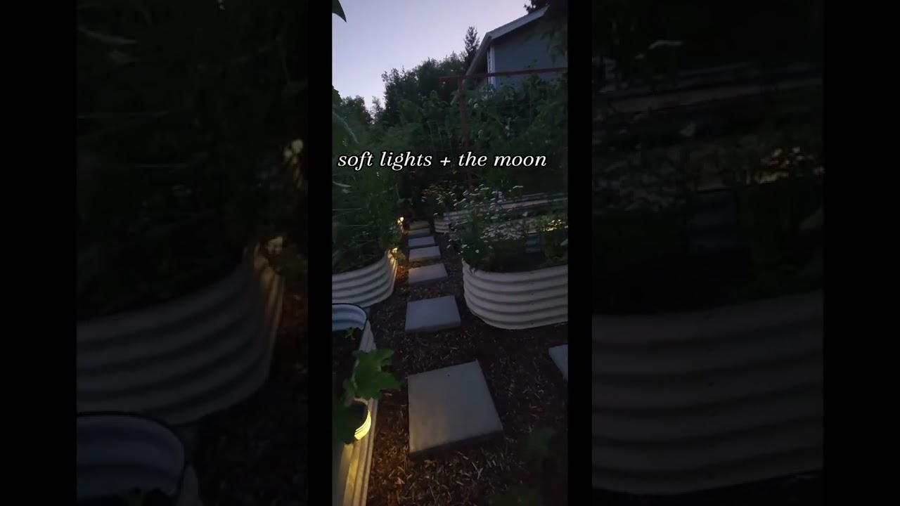 #gardeninspiration #garden #urbangardening #fyp #gardendesign #gardening