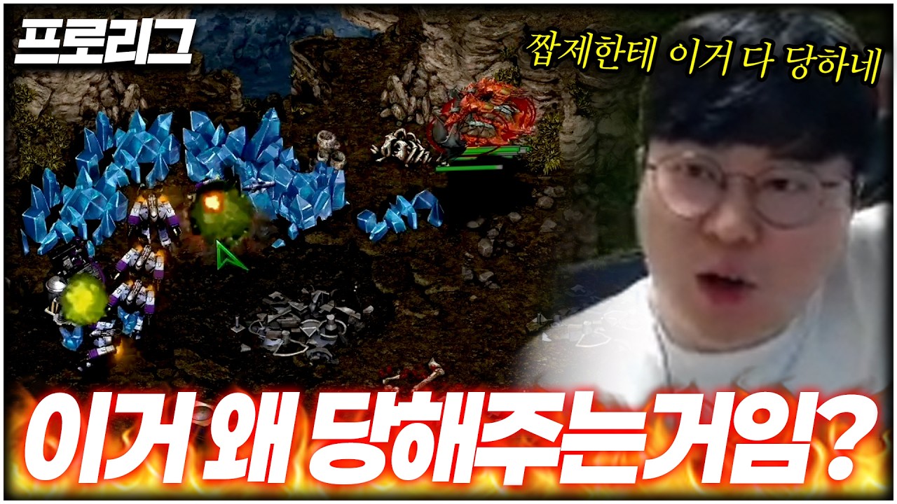 테란들은 짭제한테 이거 다 당해주더라