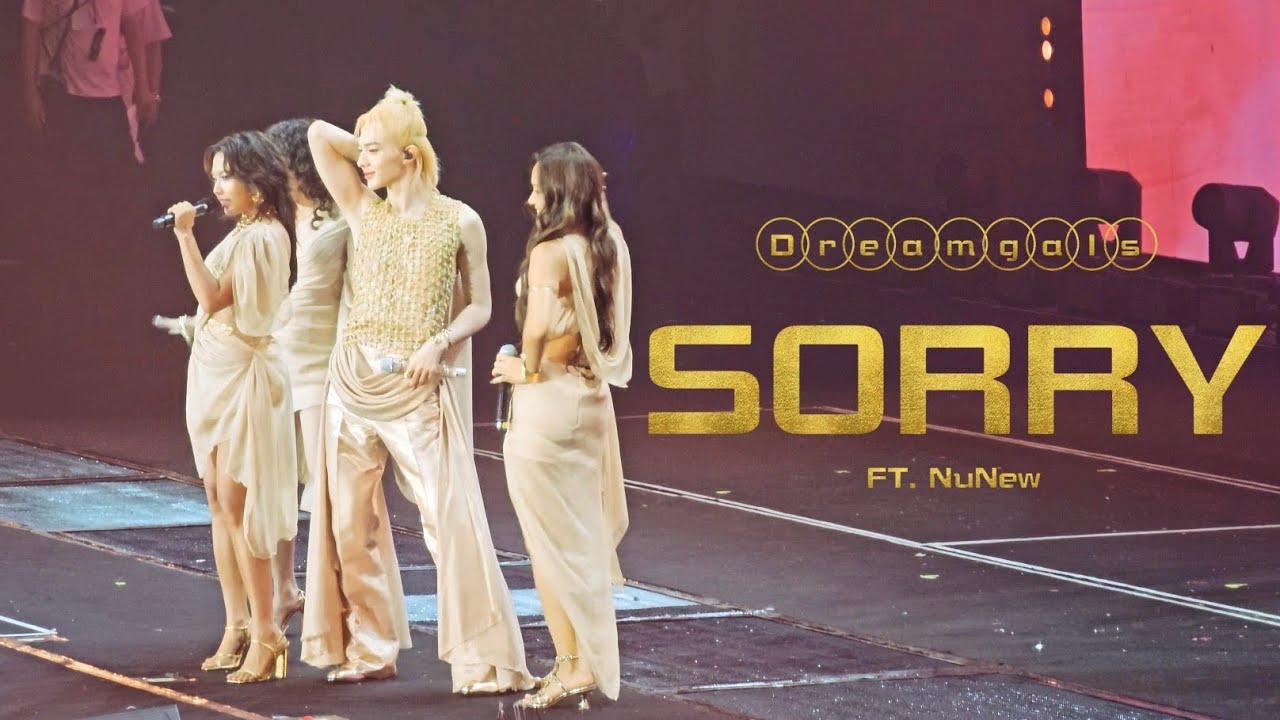 10/10 for the outfit! | ZeeNuNew Crazy In Love Concert | Sorry - Dreamgals 