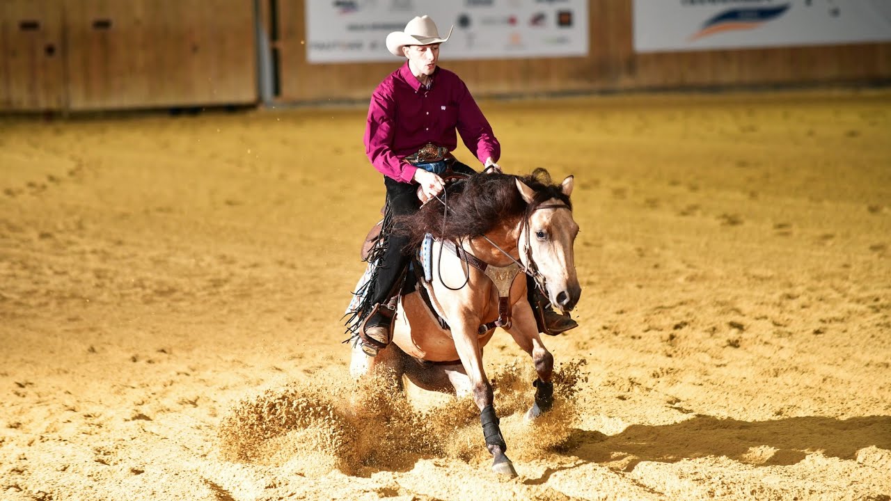 Fenrir Surprize Steps NRHA France SBH Open 140.5