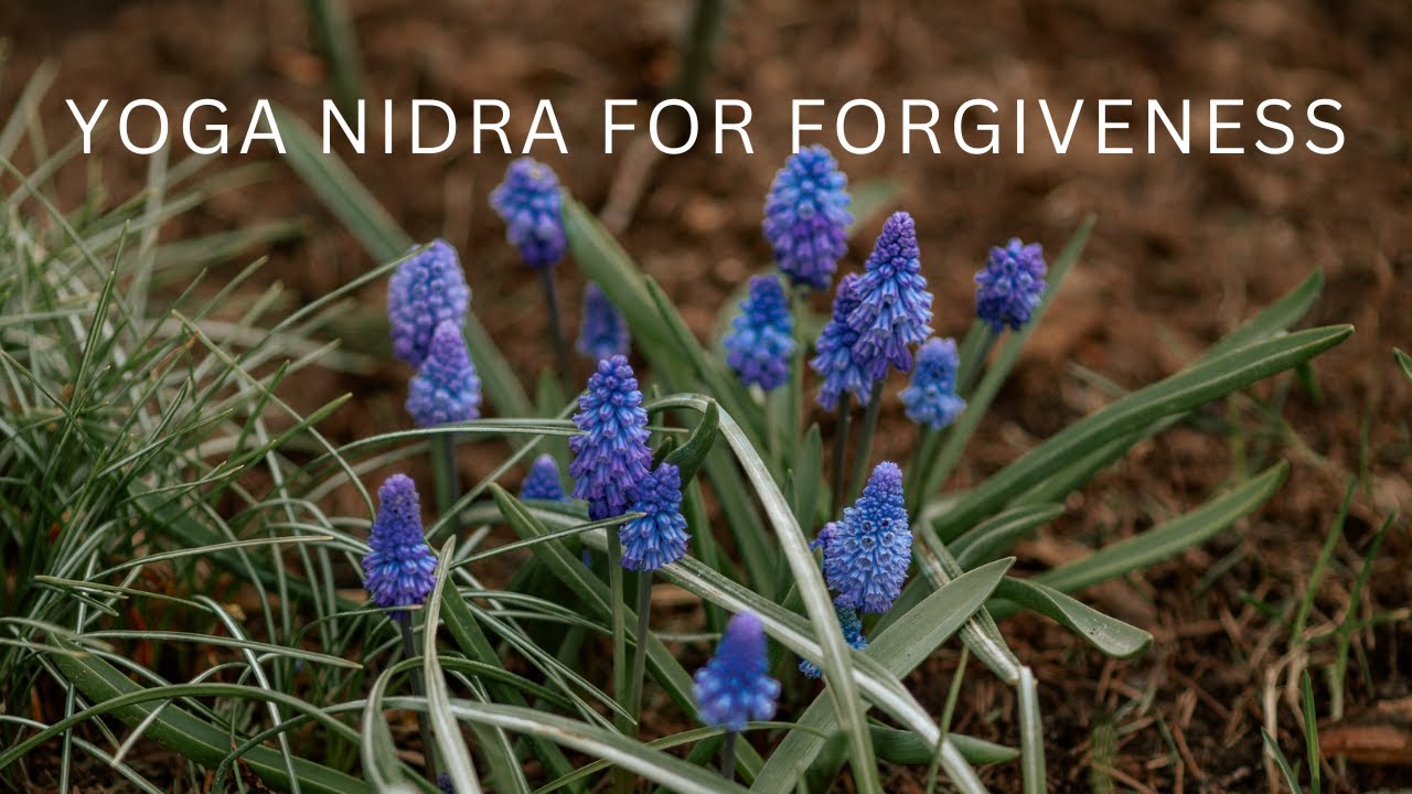 Unleash Forgiveness With Yoga Nidra