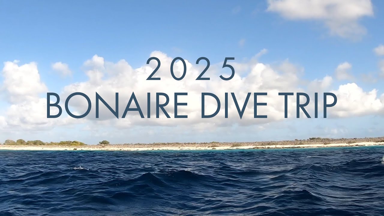 2025 Bonaire Dive Trip