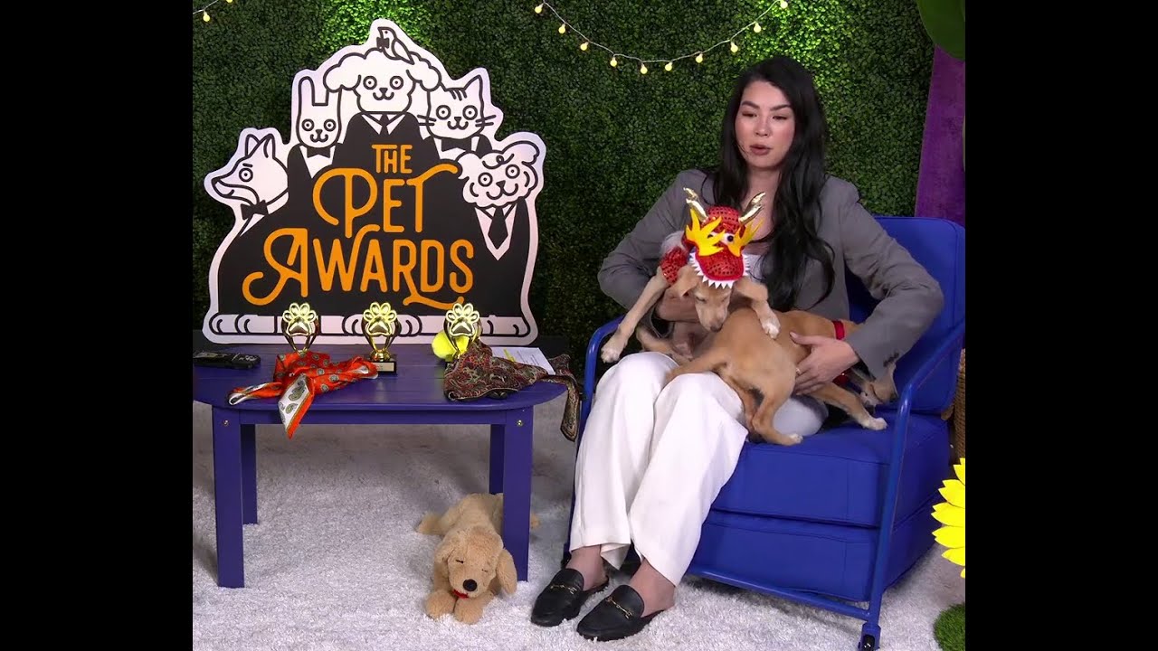 Apr/27/25 Hosting The Pet Awards with Huey and Louie!!! Oh and also Will Neff | Unmuted Carolinekwan