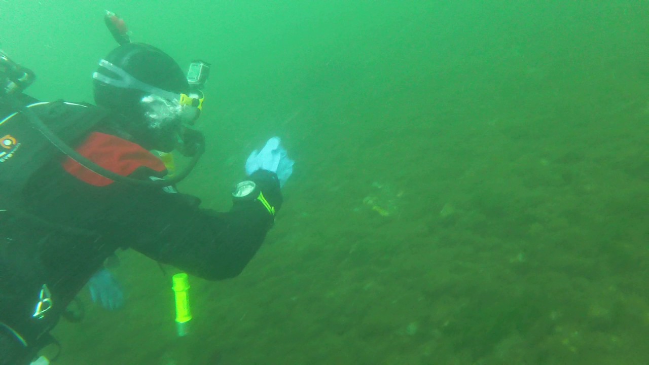 Fox Island East Wall Dive. Fox Island, WA. July 2017. Part 1