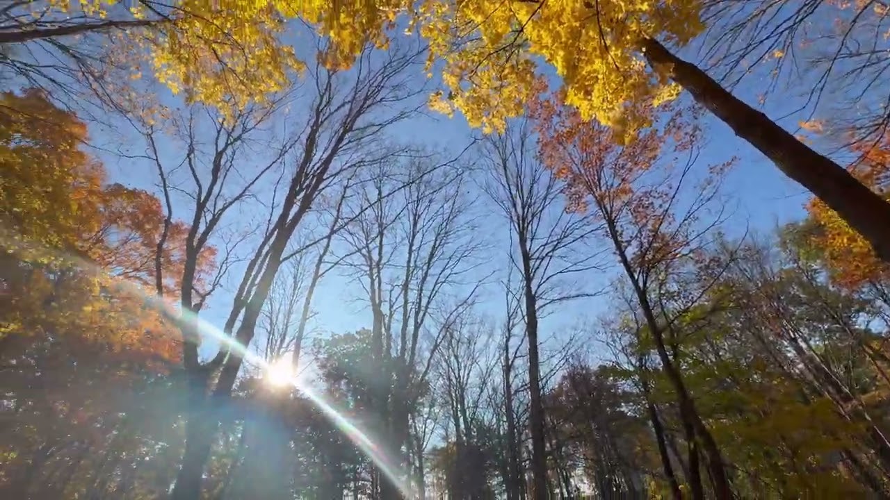 Soothing Relaxation Fall Colors