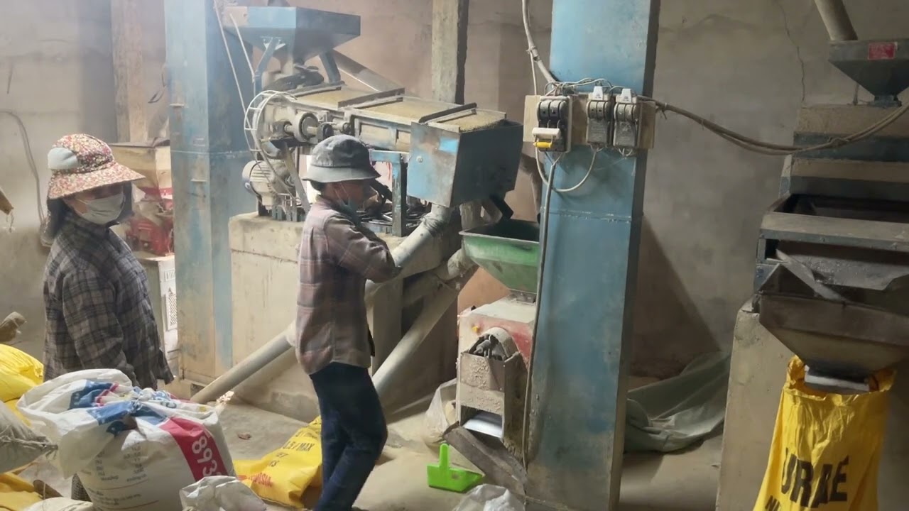 Cuộc Sống Gắn Với Đất Và Cây