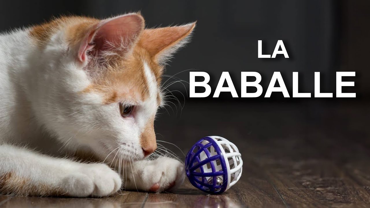 LA BABALLE