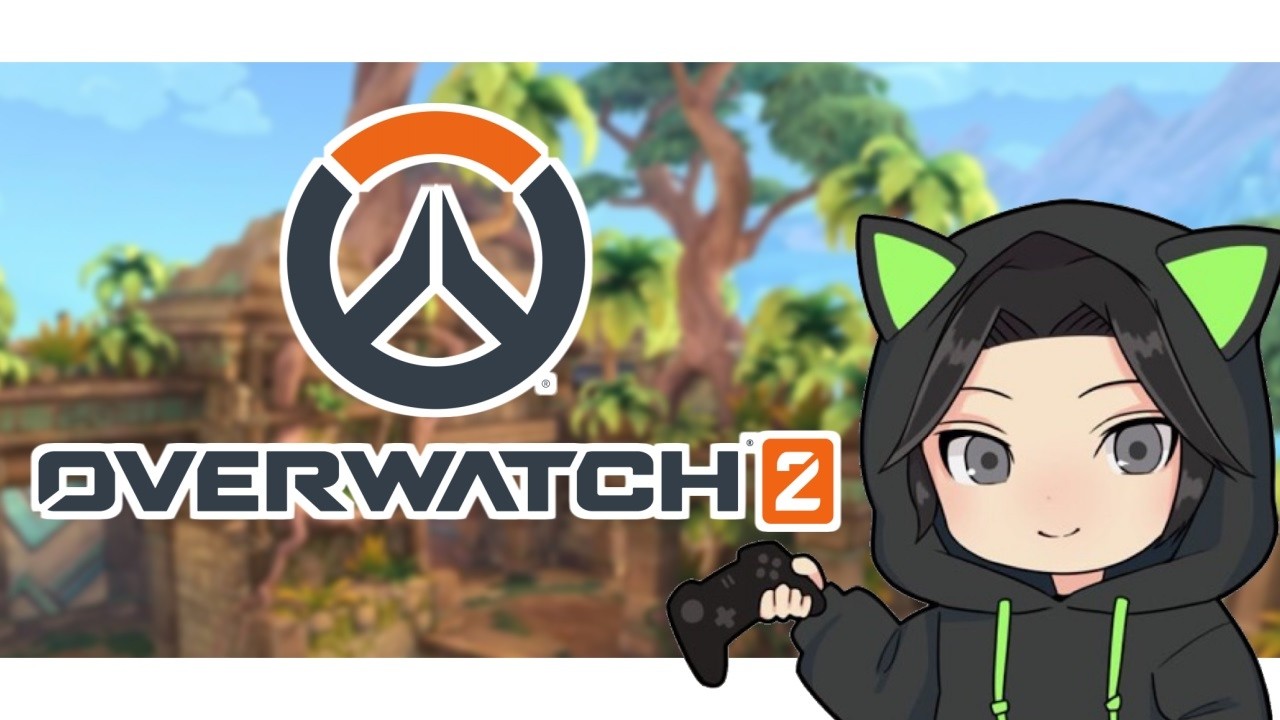 おばでぃんずカスタムず【Paladins/Overwatch】
