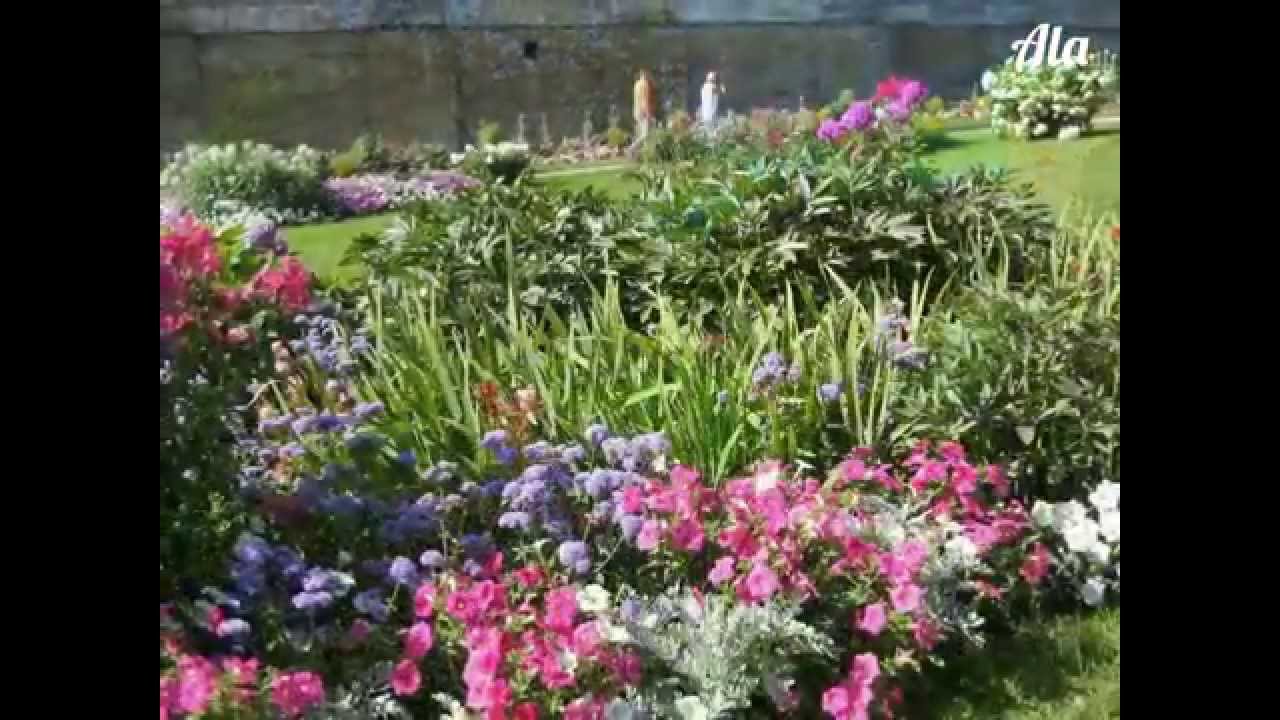 Domenico Zipoli - Elevazione. Flowers. Catherine Park.