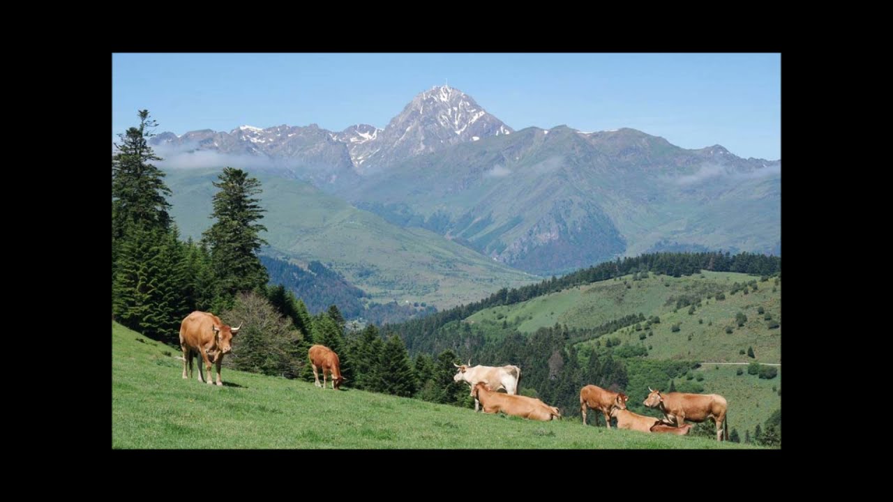 Halte là ! Les Montagnards sont là !