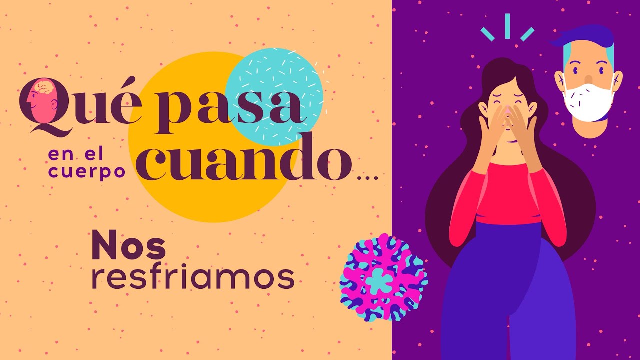 Qué pasa en el cuerpo cuando... nos resfriamos 😷   🤧