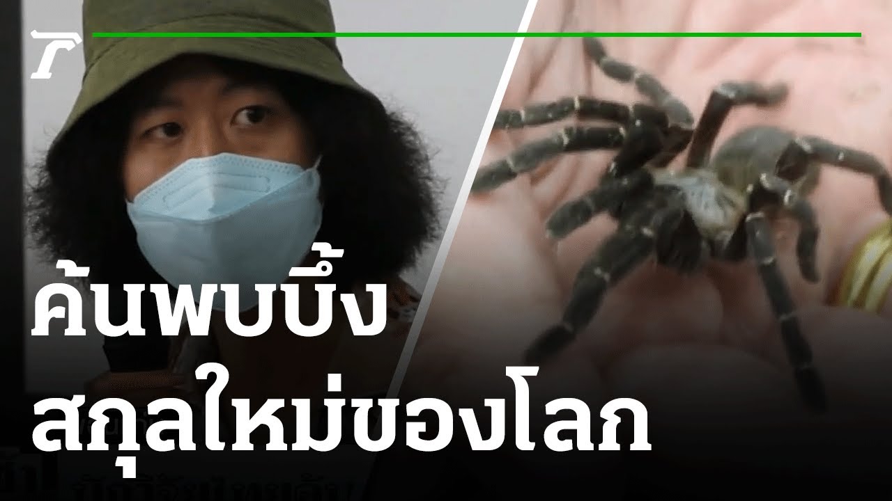 นักวิจัยไทย และ 'โจโฉ'  ค้นพบบึ้งสกุลใหม่ของโลก | 03-02-65 | ข่าวเช้าหัวเขียว